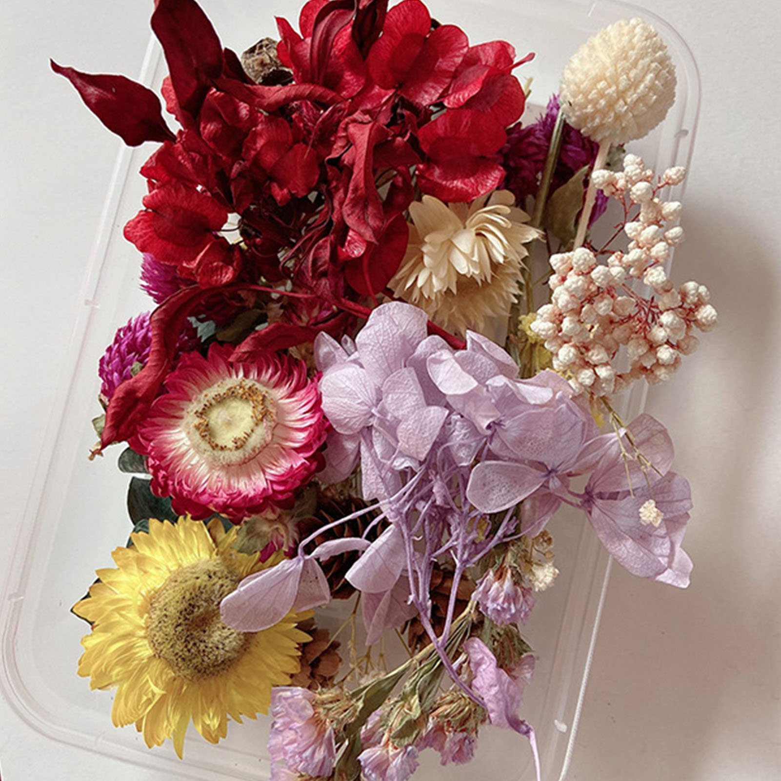 Kit di fiori secchi naturali o - Candle Making Kit Diy recensione e prezzo