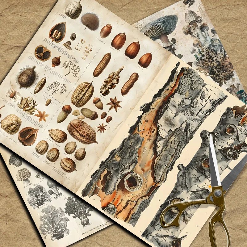 Nuovi documenti in materiale V - Candle Making Experience recensione e prezzo