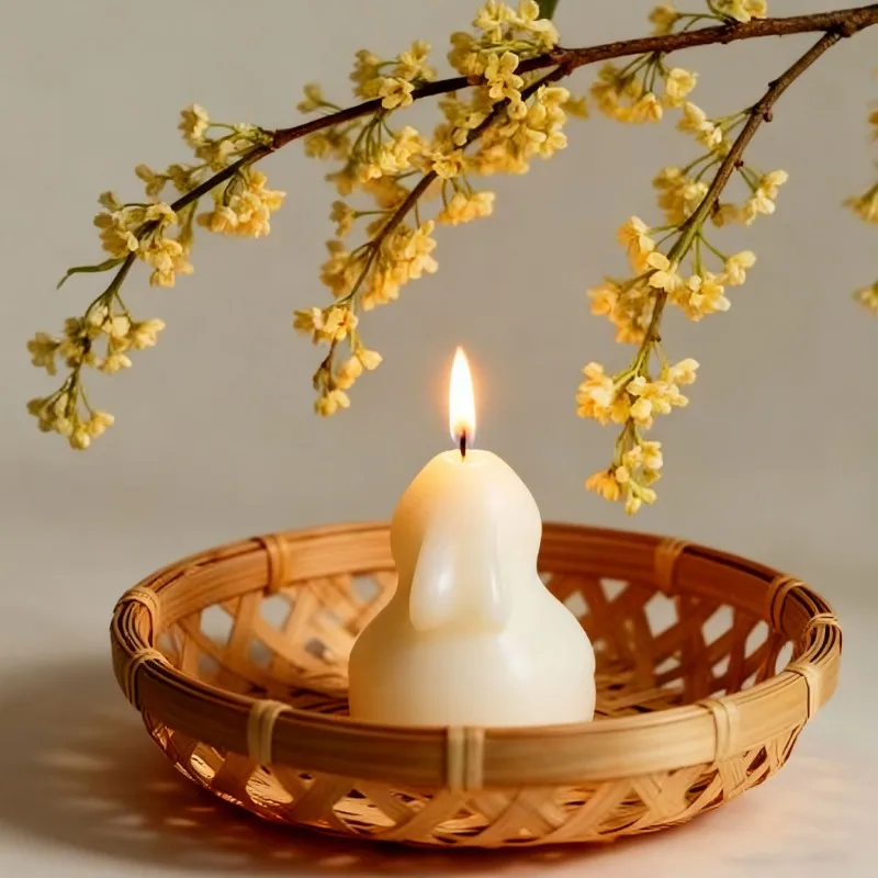 Nuovo Stampo in Silicone 2026  - Candle Making Gel Wax recensione e prezzo